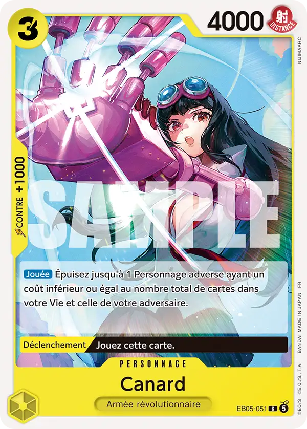 EB05-051 - Canard