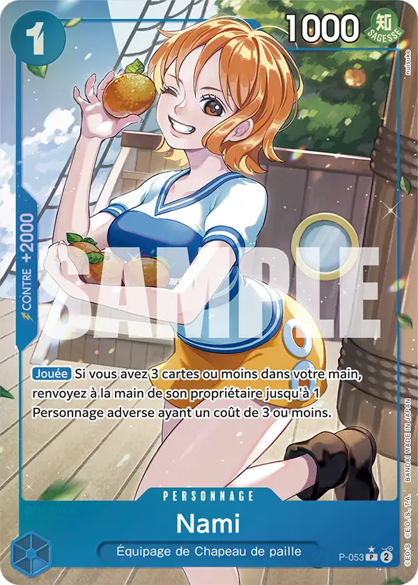P-053 - Nami V3