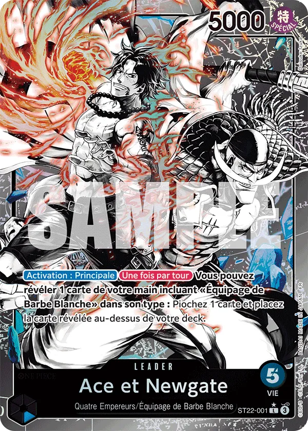 ST22-001 - Ace et Newgate V2