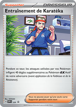 SVP220 - Entraînement de Karatéka