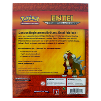 Dos - Coffret - Collection avec Pin's / Entei