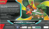 Dos — Coffret - Collection Spéciale / Félinferno-ex et Torterra-ex
