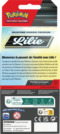 Dos — Coffret - Collection Tournoi Premium / Lilie
