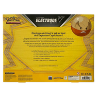 Dos - Coffret - Électrode de Hisui V
