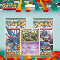 Illustration Desséliande — DuoPack - XY Poings Furieux