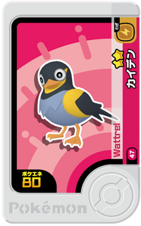 Recto — Frienda 1-1-047 - Zapétrel