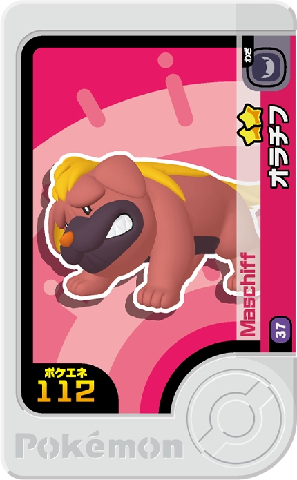Meza Tag Grondogue (1-5-037) Pokémon Frienda recto