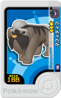 Recto — Frienda 1-5-038 - Dogrino
