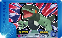 Recto — Frienda 2-1-022 - Motorizard