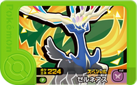 Recto — Frienda - Xerneas