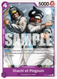 ST10-008 - Shachi et Pingouin