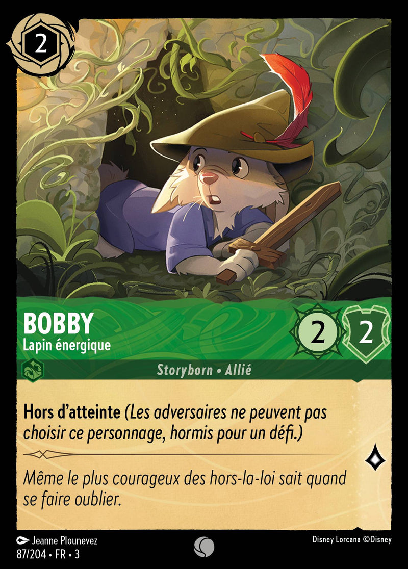 087/204 - Bobby - Lapin énergique