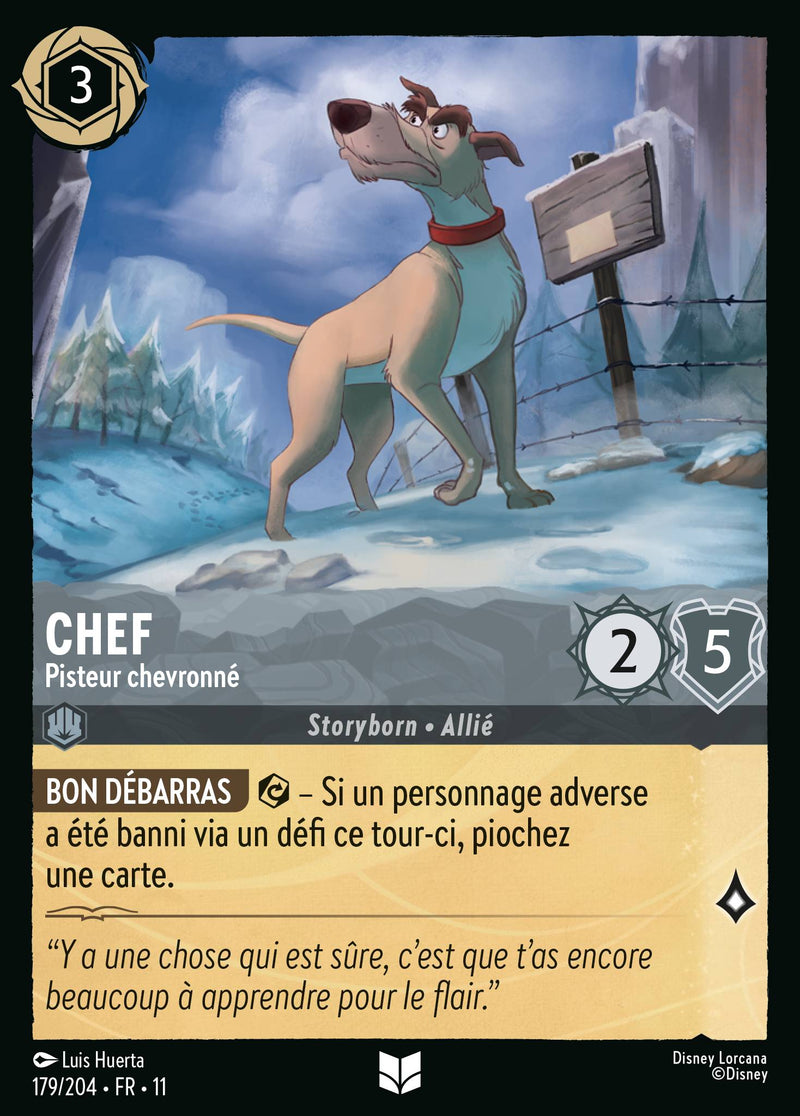 179/204 - Chef - Pisteur chevronné