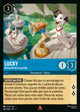 160/204 - Lucky - Miraculé de la portée