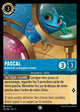 151/204 - Pascal - Animal de compagnie curieux