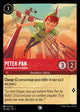 119/204 - Peter Pan - Combattant intrépide
