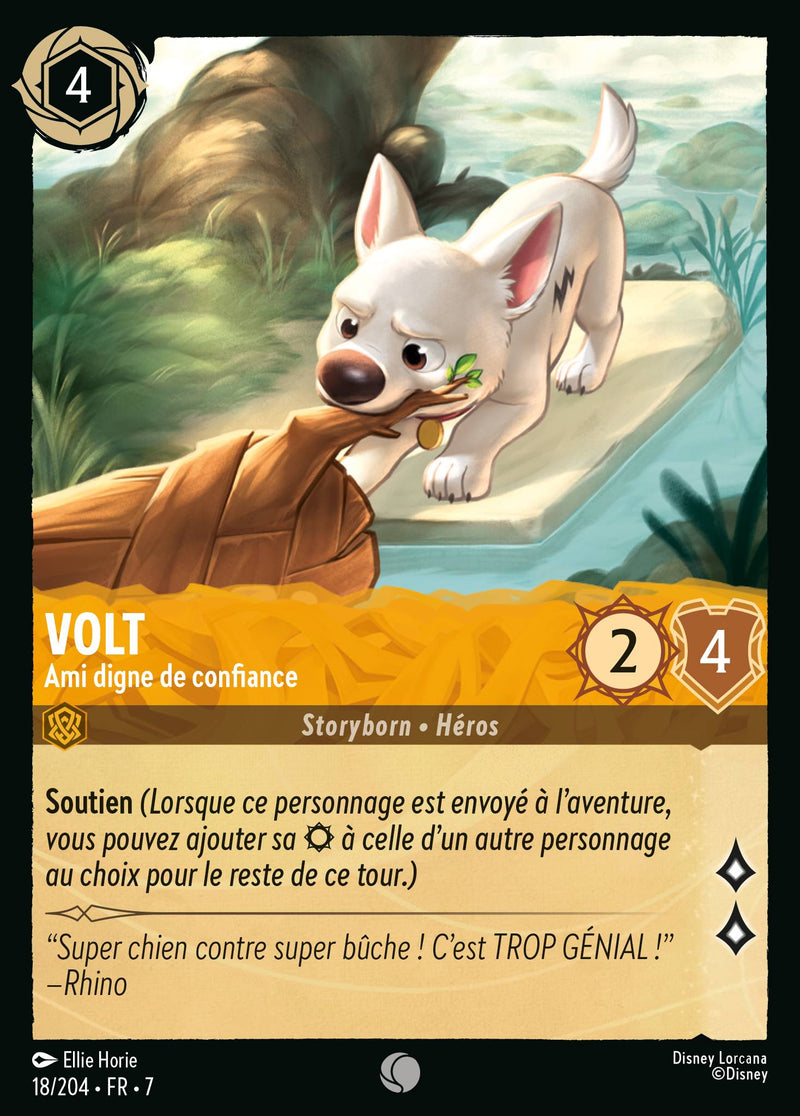 018/204 - Volt - Ami digne de confiance