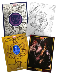 Vue 6 - Treasure Box - Marvel Anthology