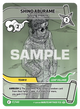 017/140 - Shino Aburame - Insectes Espions