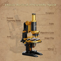 Vue 4 - Pantasy - Microscope / Retro Collection