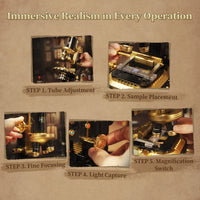 Vue 5 - Pantasy - Microscope / Retro Collection