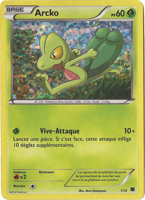 Arcko — Carte Pokémon 1 Collection McDonald's 2015