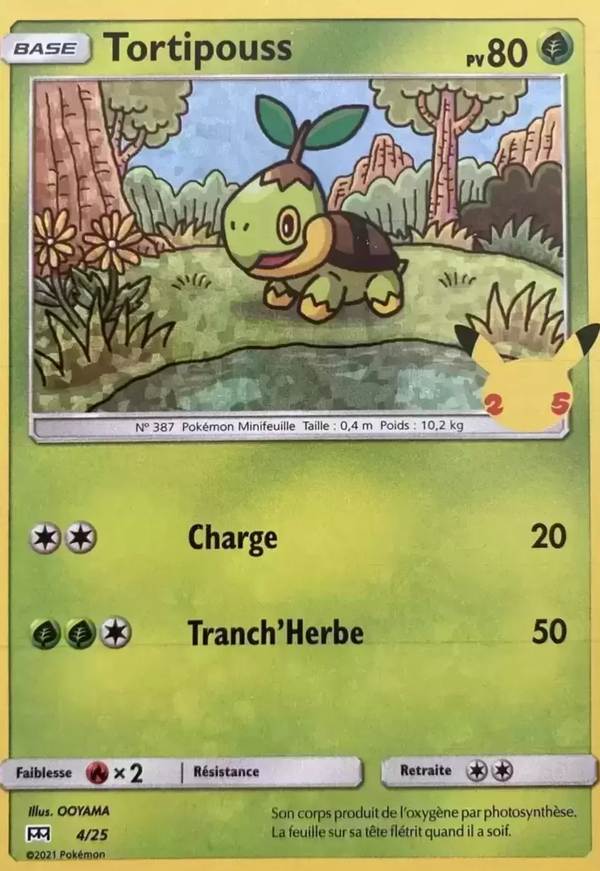 004/025 - Tortipouss — Carte Pokémon Collection McDonald's 2021 4/25
