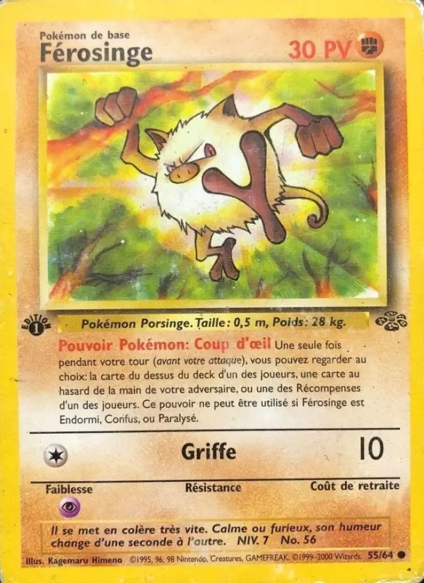 055/064 - Férosinge