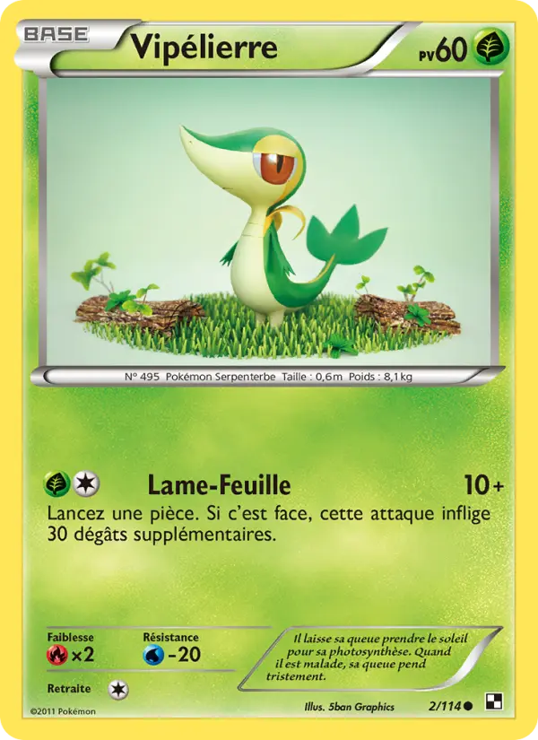 002/114 - Vipélierre