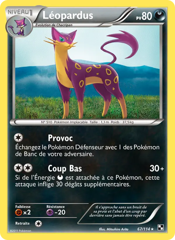 067/114 - Léopardus