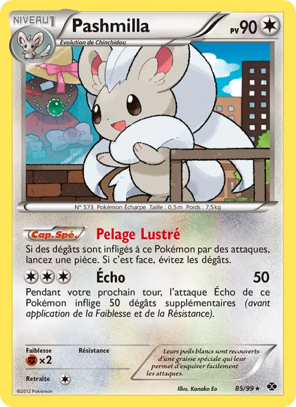 085/099 - Pashmilla