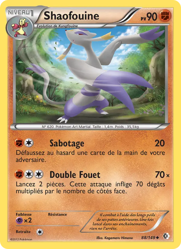 Shaofouine — Carte Pokémon 88 Frontières Franchies
