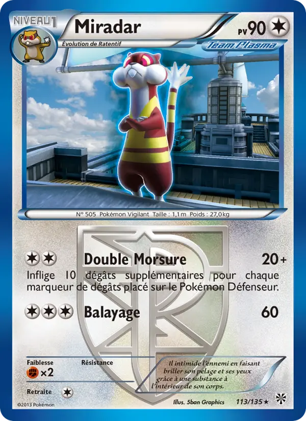 113/135 - Miradar