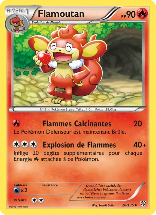 020/135 - Flamoutan
