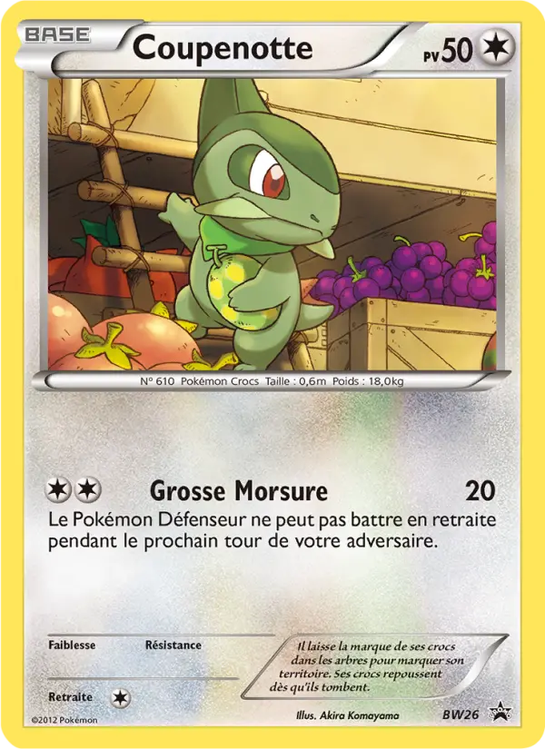 Coupenotte — Carte Pokémon BW26 Promo BW