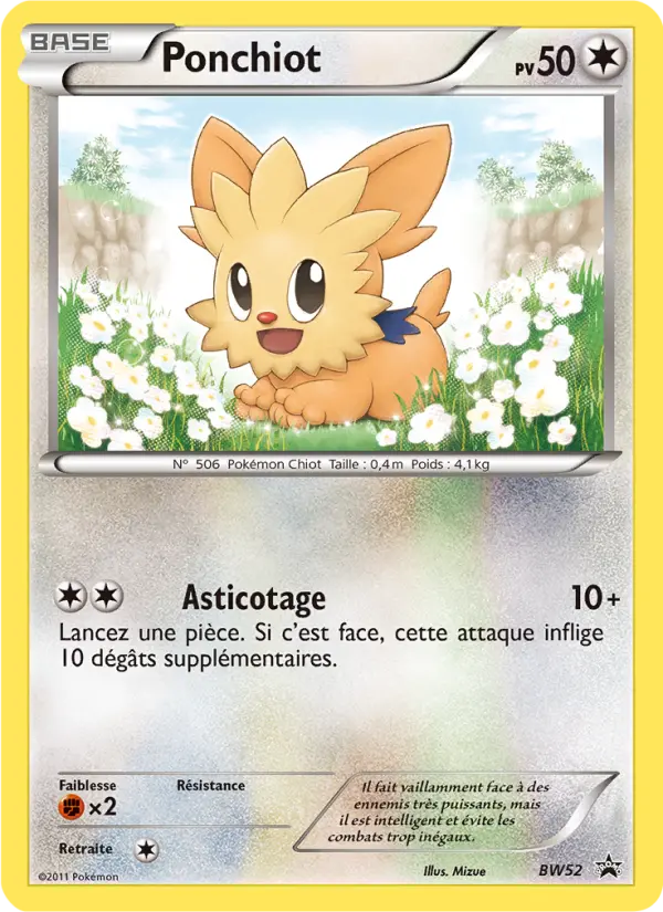 BW052 - Ponchiot