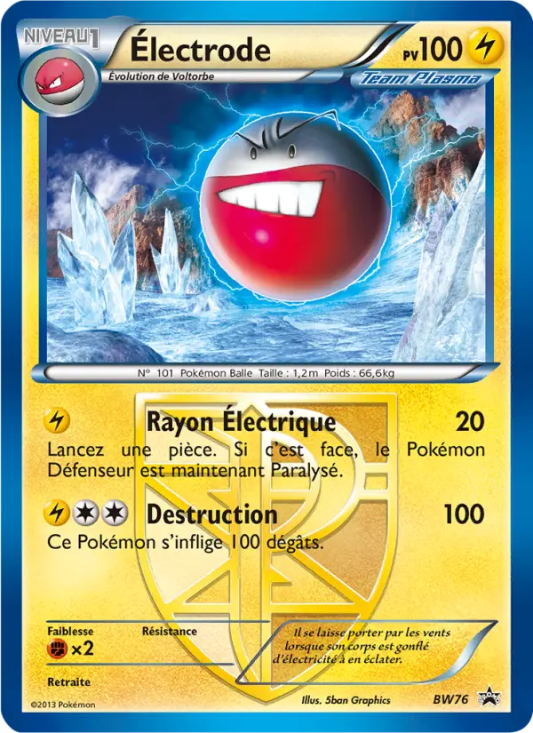 BW076 - Électrode