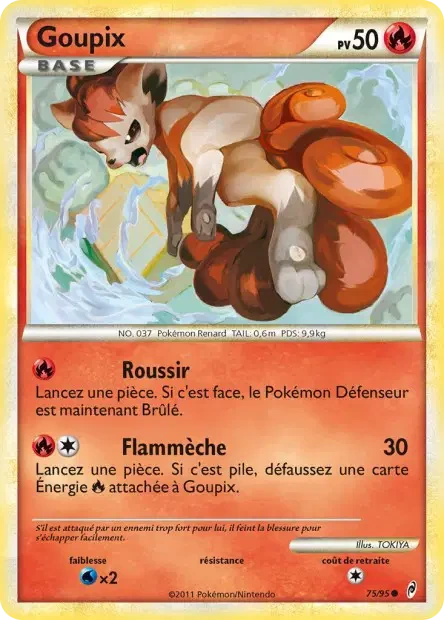 075/095 - Goupix