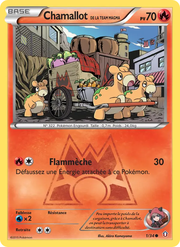 001/034 - Chamallot de la Team Magma