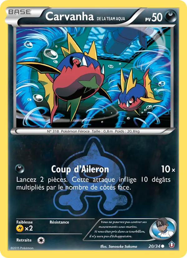 Carvanha de la Team Aqua — Carte Pokémon 20 Double Danger