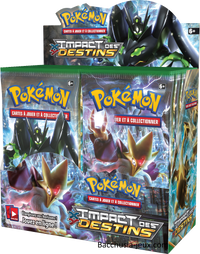 Présentoir — Display - XY Impact des Destins