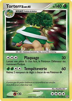 Torterra dp1 Tempête