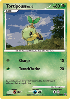 Tortipouss dp1 Tempête