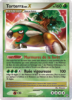 Torterra Niv.X dp1 Tempête