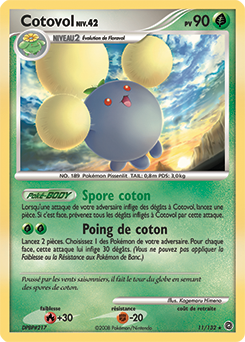 Cotovol dp3 Tempête