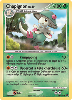 045/132 - Chapignon
