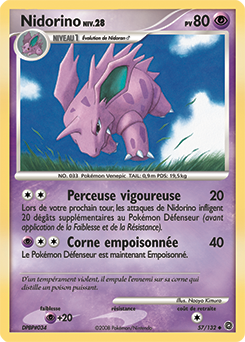 Nidorino dp3 Tempête