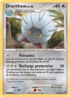 Drackhaus dp3 Tempête