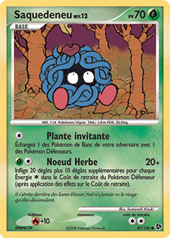 Saquedeneu dp4 Tempête