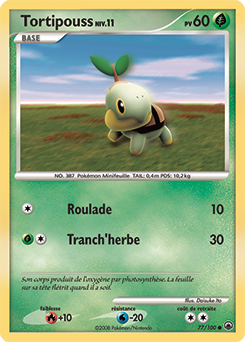 Tortipouss dp5 Aube Majestueuse